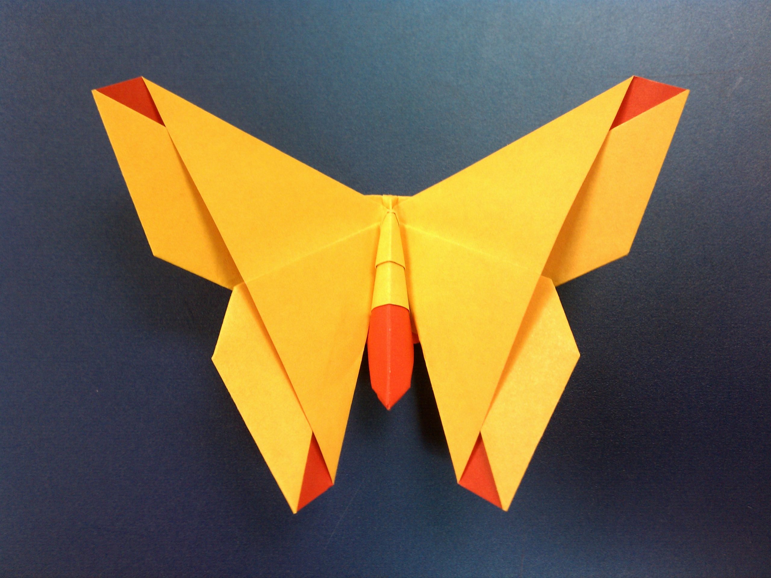 Verscheidenheid onkruid Ik was verrast Origami Paper Buying Guide | Taro's Origami Studio